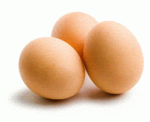 incubation des œufs