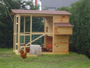 Poulailler en bois facile à fabriquer sois même