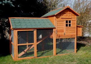 Poulailler en bois bien aéré